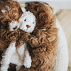 Mon chien mon chien bière Pluche crème
