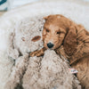 Mon chien mon chien en peluche brun