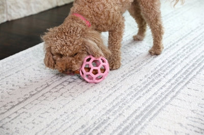 JW HOL-EE ROLLER TREND-EE PINK