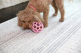 JW HOL-EE ROLLER TREND-EE PINK - afbeelding 3