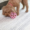 JW HOL-EE ROLLER TREND-EE PINK