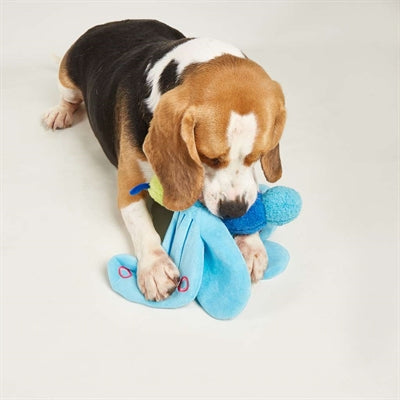 Fofos Jumbo Butterfly Bleu