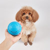 Fofos Roll Ball Rechargeable pour les chiens