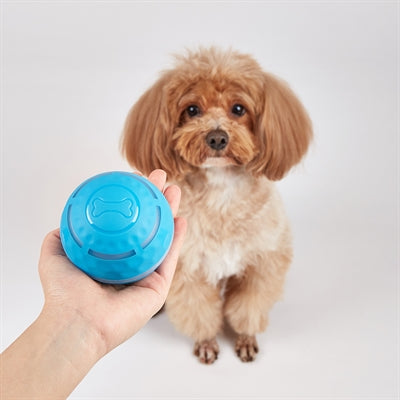 Fofos Roll Ball Rechargeable pour les chiens