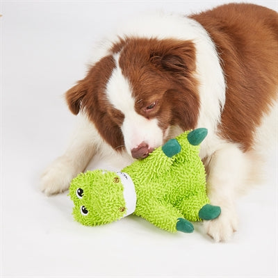 FOFOS ALLIGATEUR DOG