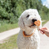Trixie Premio Lolly avec du poulet et du riz