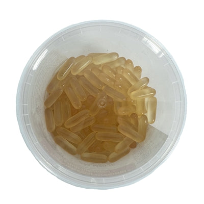Capsules d'huile de saumon drogiste animal