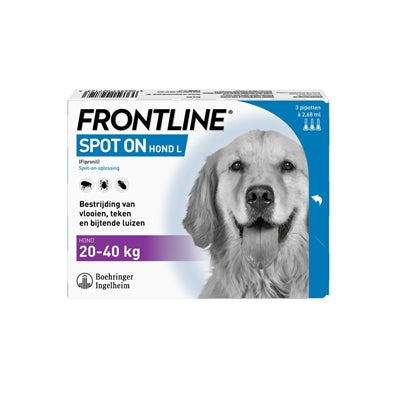 Papin de chien de première ligne sur