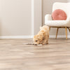 Cuir de Herringbone Trixie avec corde