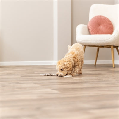 Cuir de Herringbone Trixie avec corde