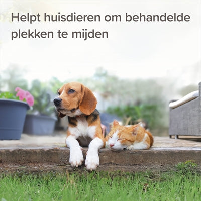 Beapar ne pas granuler chat chien