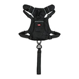 ZOLUX EASYRIRID DOG EARD NOIR - afbeelding 3