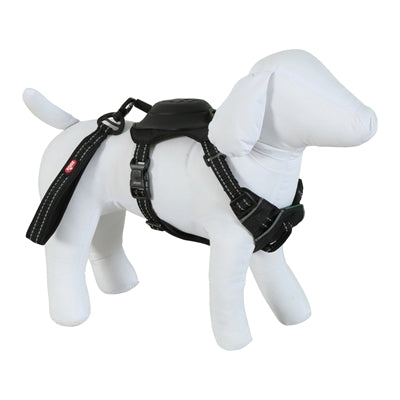 ZOLUX EASYRIRID DOG EARD NOIR