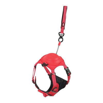 Zolux Easyride Dog Eld Red