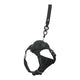ZOLUX EASYRIRID DOG EARD NOIR