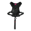 ZOLUX EASYRIRID DOG EARD NOIR