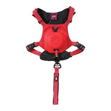 Zolux Easyride Dog Eld Red - afbeelding 2