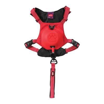 Zolux Easyride Dog Eld Red