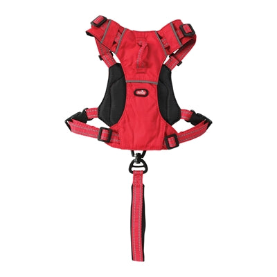 Zolux Easyride Dog Eld Red