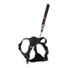 ZOLUX EASYRIRID DOG EARD NOIR