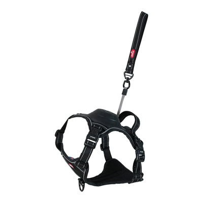 ZOLUX EASYRIRID DOG EARD NOIR
