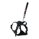 ZOLUX EASYRIRID DOG EARD NOIR - afbeelding 1