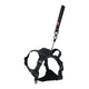 ZOLUX EASYRIRID DOG EARD NOIR