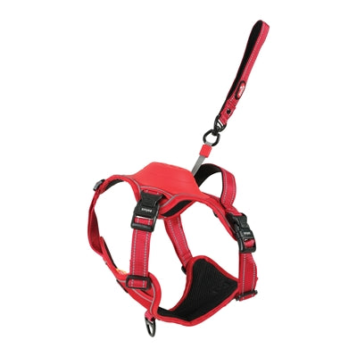 Zolux Easyride Dog Eld Red