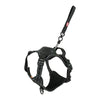 ZOLUX EASYRIRID DOG EARD NOIR