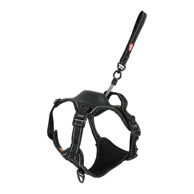 ZOLUX EASYRIRID DOG EARD NOIR