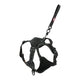 ZOLUX EASYRIRID DOG EARD NOIR