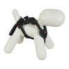 ZOLUX EASYRIRID DOG EARD NOIR