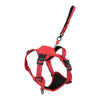 Zolux Easyride Dog Eld Red
