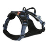 Zolux bvk chien tuard bleu