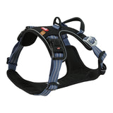 Zolux bvk chien tuard bleu - afbeelding 1