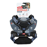 Zolux bvk chien tuard bleu - afbeelding 2