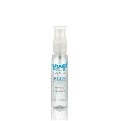 Yuup! parfum bleu