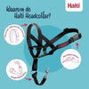 La compagnie des animaux Company of Animals Halti Headcolar Black