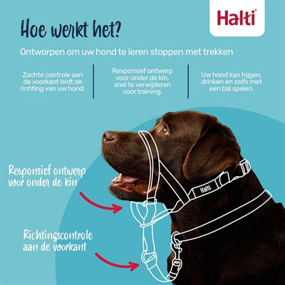 La compagnie des animaux Company of Animals Halti Headcolar Black