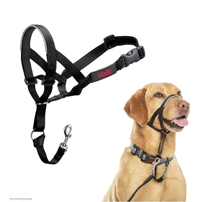 La compagnie des animaux Company of Animals Halti Headcolar Black