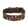 Trixie Collar Dog Rivet Rustic Fat Le cuir brun foncé