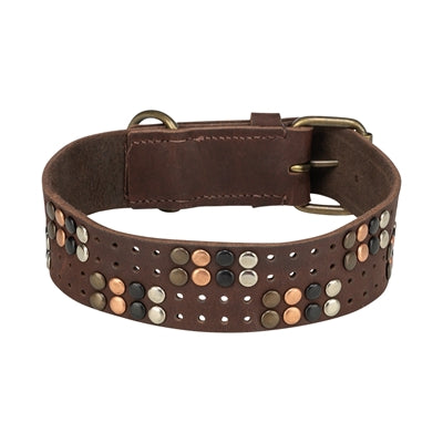 Trixie Collar Dog Rivet Rustic Fat Le cuir brun foncé