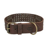 Trixie Collar Dog Rivet Rustic Fat Le cuir brun foncé