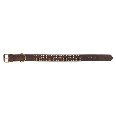 Trixie Collar Dog Rivet Rustic Fat Le cuir brun foncé
