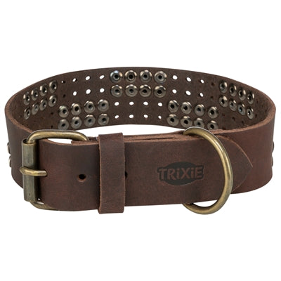 Trixie Collar Dog Rivet Rustic Fat Le cuir brun foncé