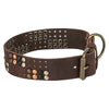 Trixie Collar Dog Rivet Rustic Fat Le cuir brun foncé