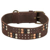 Trixie Collar Dog Rivet Rustic Fat Le cuir brun foncé