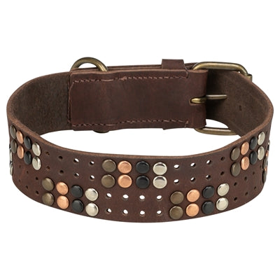 Trixie Collar Dog Rivet Rustic Fat Le cuir brun foncé