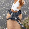 Trixie Dog Harm Premium Flexmesh large poitrine noire