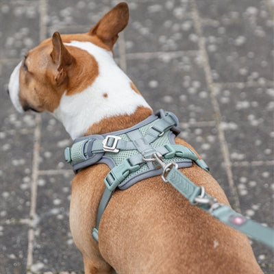 Trixie Dog Harder Premium Flexmesh Wide Breast Saliegroen